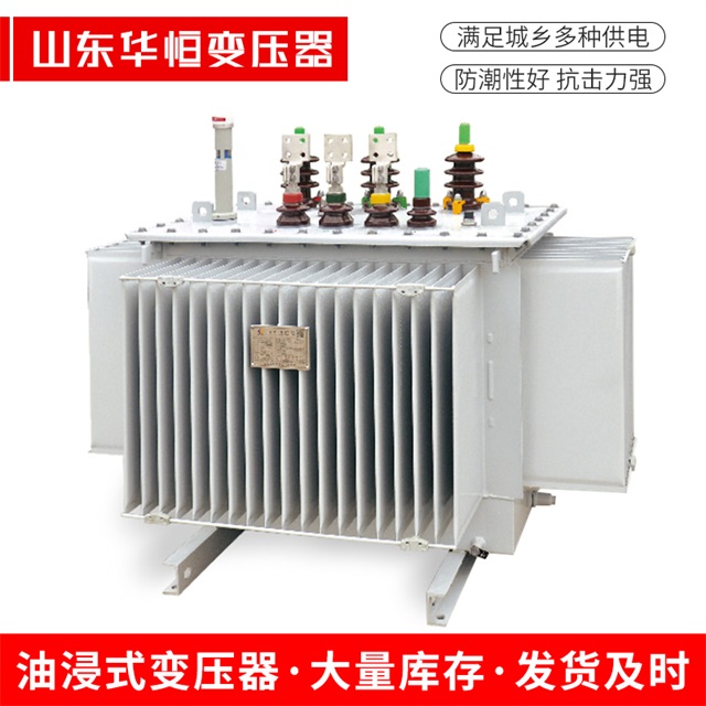S13-10000/35果洛果洛果洛电力变压器